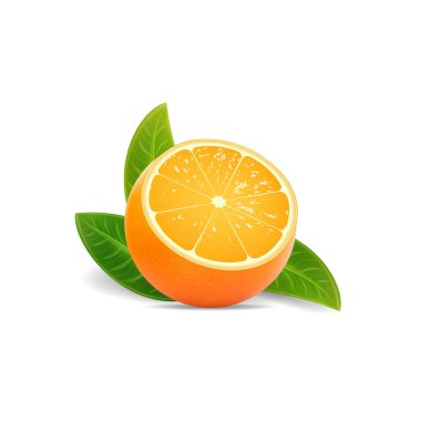 Yarım portakallı 3D gerçekçi vektör dilimi
