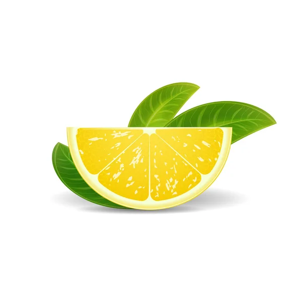 Rebanada Madura Limón Amarillo Cítricos Pie Aislado Sobre Fondo Blanco — Vector de stock