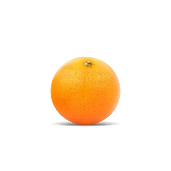 Трехмерный Вектор Плод Оранга — стоковый вектор