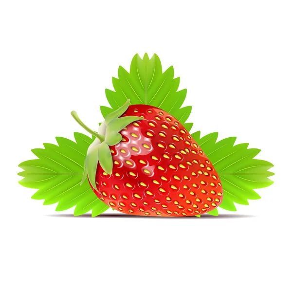 Strawberry Vector Icon Isolated White Background Realistic Sweet Fruit — Stock Vector