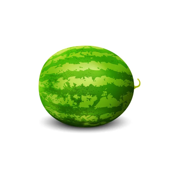 Vattenmelon Färsk Frukt Realistisk Vektorikon — Stock vektor