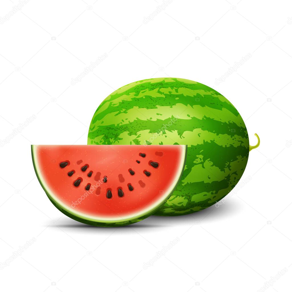 Watermelon. Fresh fruit, 3d realistic vector icon