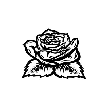 Beyaz arkaplandaki klasik siyah beyaz çiçek kavramı bitkisel çiçekleri izole etti. Vahşi bahar yaprağı yaban çiçeği vektör çizimi. İş ziyareti kartı, tipografi vektörü, t-shirt için yazdırma fikri.