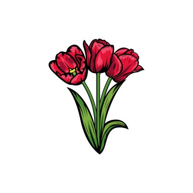 Beyaz arka plandaki klasik kırmızı çiçek açan lale konsepti bitkisel çiçekleri izole etti. Vahşi bahar yaprağı yaban çiçeği vektör çizimi. İş ziyareti kartı, tipografi vektörü, tişört için baskı fikri.