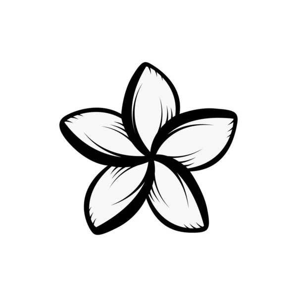 Винтажные Черно Белые Цветущие Цветы Концепции Plumeria Белом Фоне Изолированы — стоковый вектор