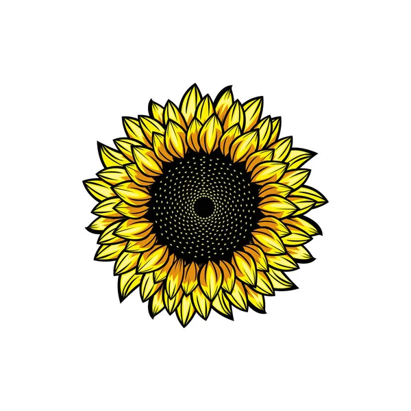 Ročník Žluté Kvetoucí Slunečnice Koncept Bílém Pozadí Izolované Divoké Léto — Stockový vektor