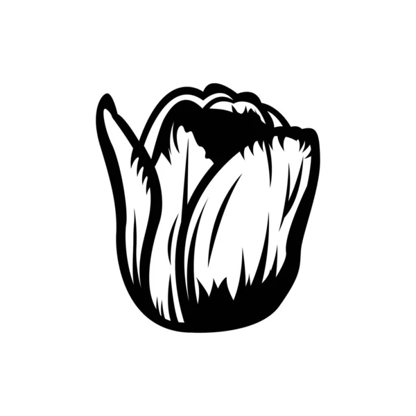 Beyaz Arka Plandaki Klasik Siyah Beyaz Çiçek Açan Lale Konsepti — Stok Vektör
