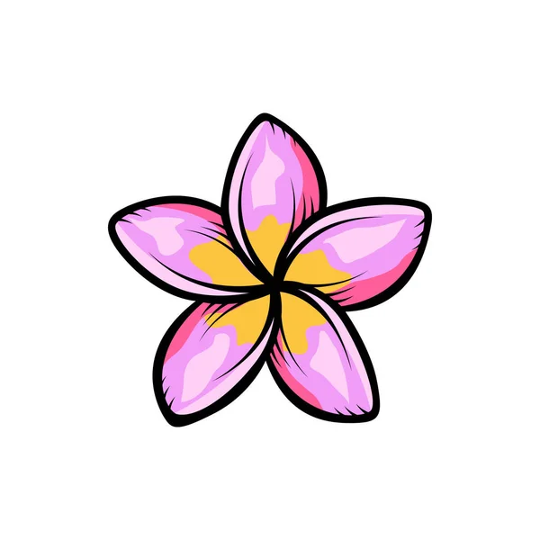 Vintage Blommande Plumeria Blommor Koncept Vit Bakgrund Isolerad Blommig Tropisk Royaltyfria illustrationer