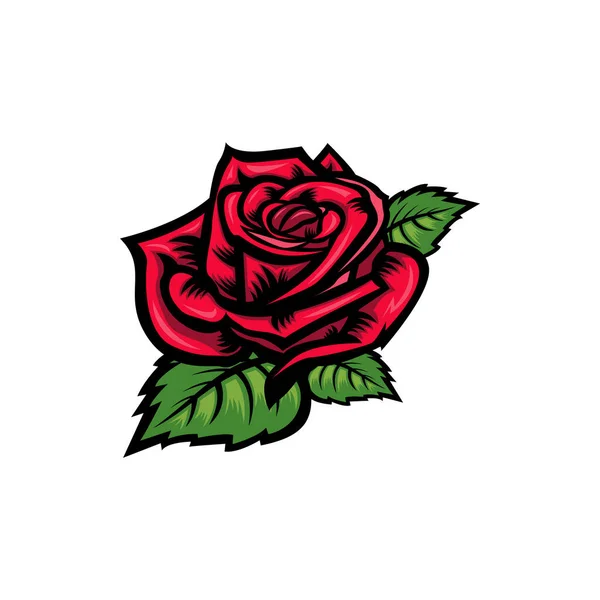 Ročník Červená Kvetoucí Růže Koncept Bílém Pozadí Izolované Květinové Botanické Stock Vektory