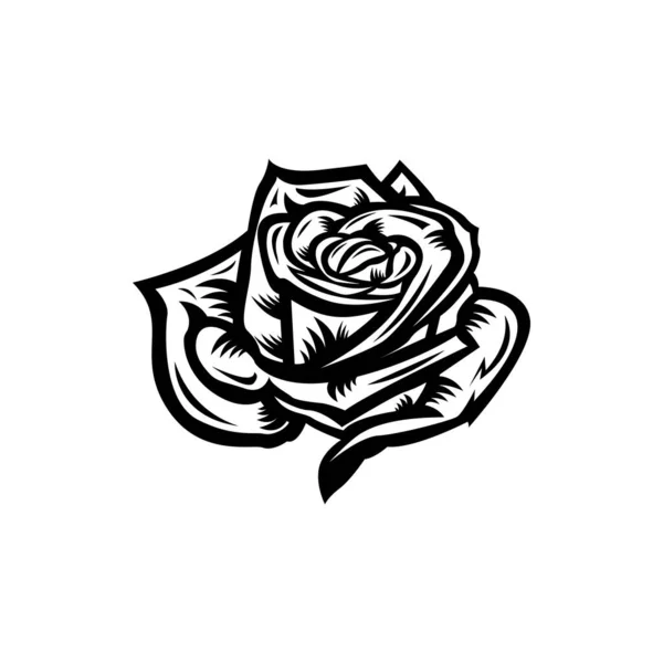 Vintage Negro Blanco Concepto Rosa Flor Sobre Fondo Blanco Aislado Ilustraciones De Stock Sin Royalties Gratis