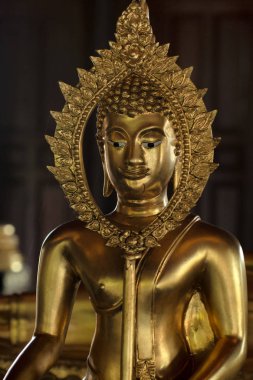 Altın Buddha Albümdeki farklı tutum heykel Wat Krathum Suea Pla Tapınağı, Bangkok