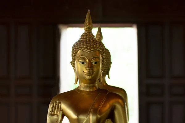 Buddha Bilder Verschiedenen Einstellungen Skulptur Wat Krathum Suea Pla Tempel — Stockfoto