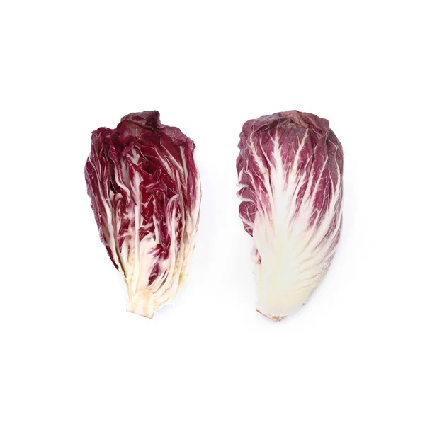 Raw Organic Purple Radicchio Lettuce Vegetable Isolate White Background — Stock Photo, Image