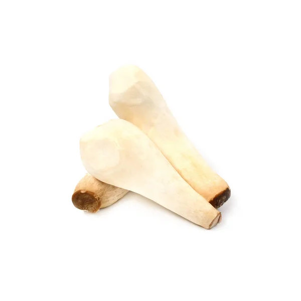 King Oyster Mushroom Eringi White Backgroud — Stock Photo, Image