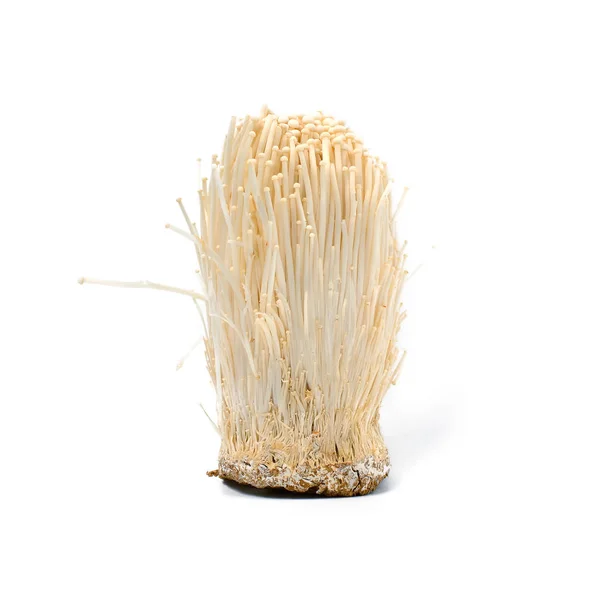 Golden Needle Mushroom Enoki Mushroom Isolate White Background — Stock Photo, Image