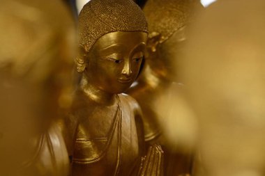 Peder kadın rahipler veya Bhikkunis Buda'nın heykel kuşatır. Bunlar bazı dünya kalış Wat Thepthidaram Tapınağı'nda bulunan en eski ve en nadide Bhikkuni heykeller