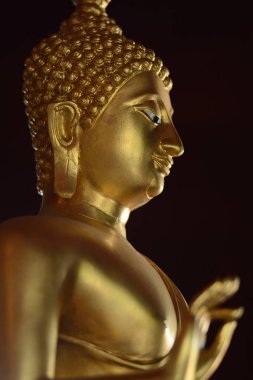 Arka plan olarak sanat tarzı altın buddha durumda
