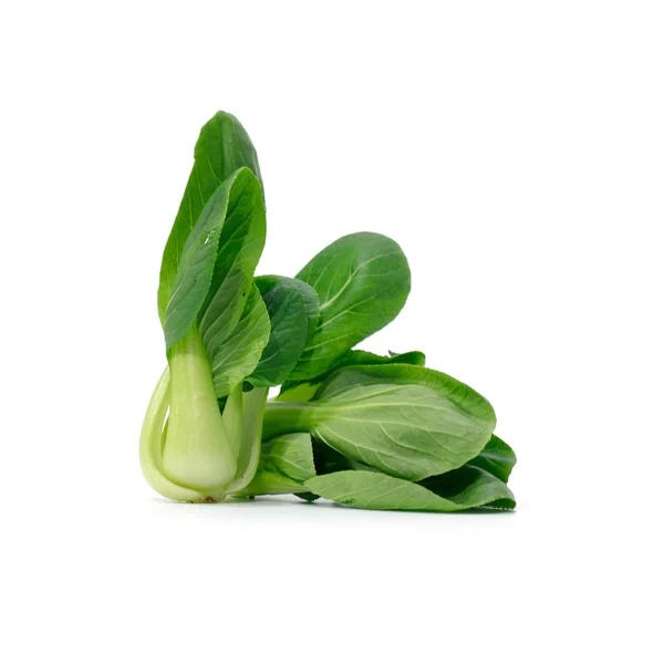 Baby Bok Choy Pak Choi Chinese Cabbage — Stock Photo, Image
