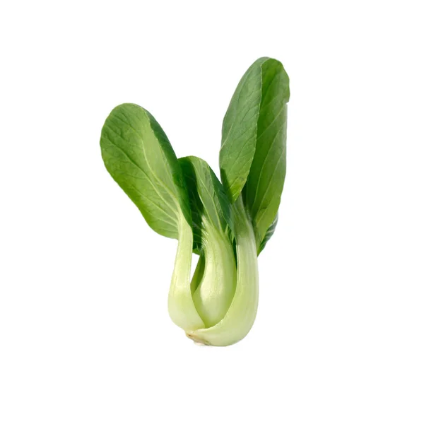 Dziecko Pak Choi Lub Bok Choy Kapusta Pekińska — Zdjęcie stockowe