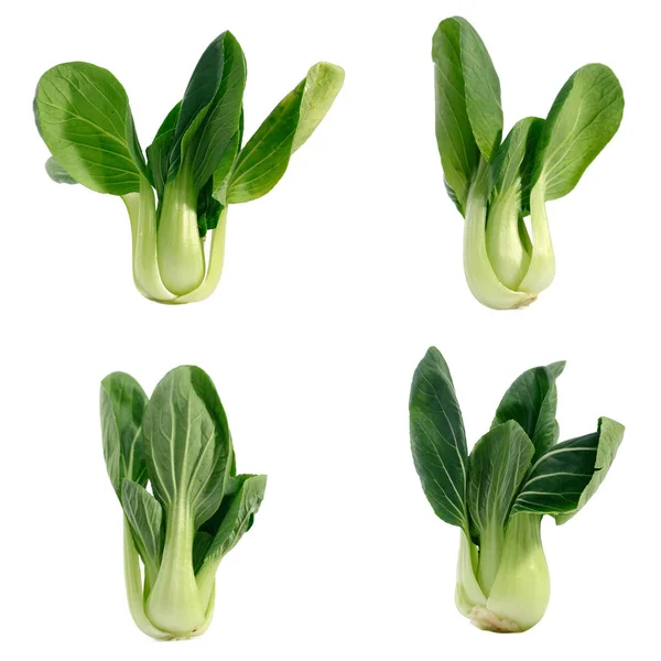 Bebé Bok Choy Pak Choi Col China — Foto de Stock