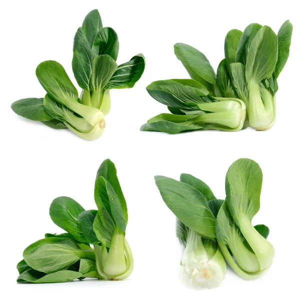 Bebé Bok Choy Pak Choi Col China — Foto de Stock