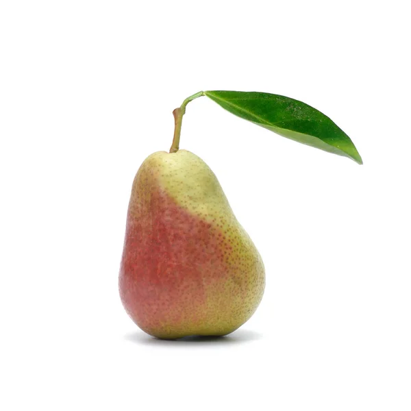 Pear Fruit Isolated White Background — Stock Photo, Image