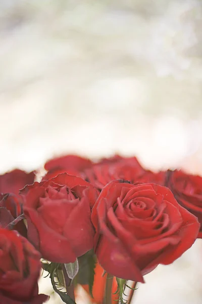 Rosa Vermelha Ramo Para Fundo Dia Dos Namorados — Fotografia de Stock