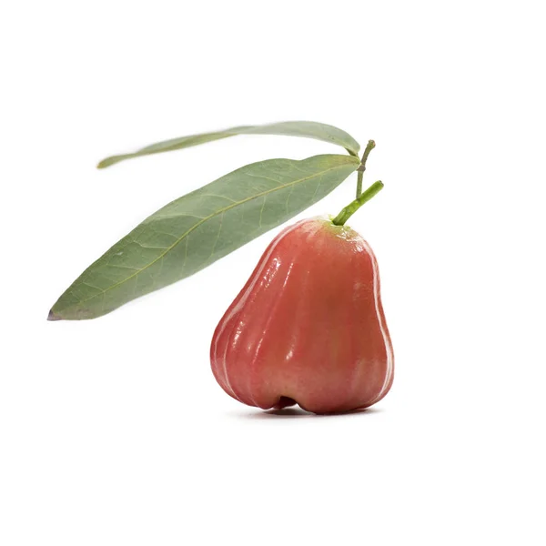 Vatten Äpple Eller Röd Rose Apple Eller Bell Frukt Vit — Stockfoto