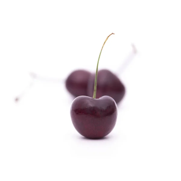 Red wild cherries — Stock Photo, Image