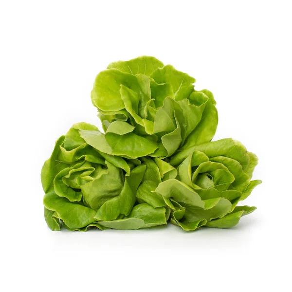 Hidroponia vegetal isolado de alimentos orgânicos sobre fundo branco — Fotografia de Stock