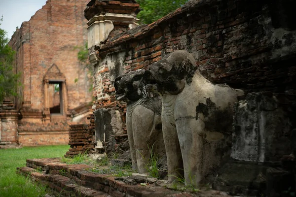 Ancient Elephant Sandstone Wat Mahaeyong Ayuttaya Thailand — Stock Photo, Image