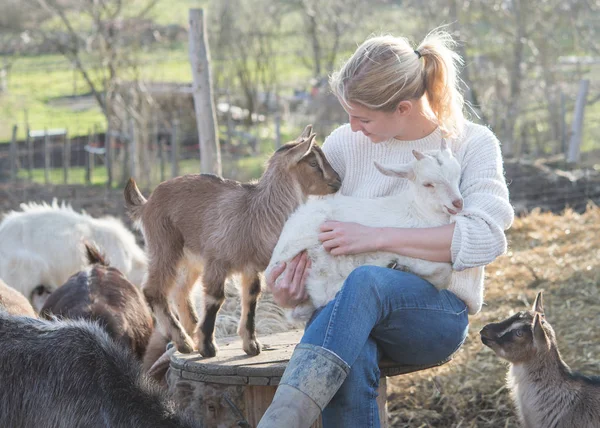 Adorable Agneau Bébé Avec Fille Blonde — Photo