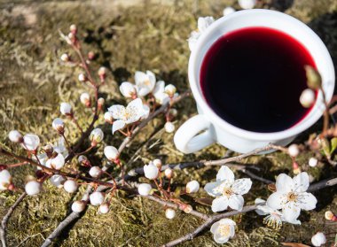 Bahar bahçe çiçeği ile sıcak tee