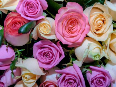 Çiçek arka planı. Kapat..