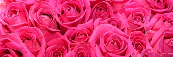 Fond Bouquets Fleurs Des Roses Ferme Panorama — Photo