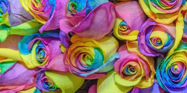 Güzel çiçeklerin arkaplanı. Tasarım. Kapat..