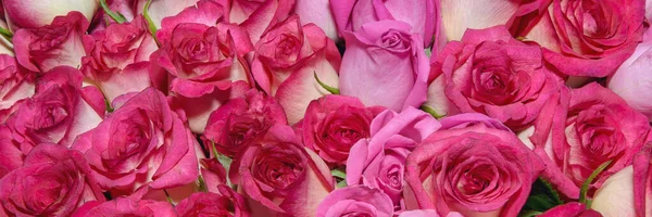 Güzel çiçeklerin arkaplanı. Kapatın. Panorama