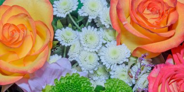 Güzel çiçeklerin arkaplanı. Yaklaş. Panorama.