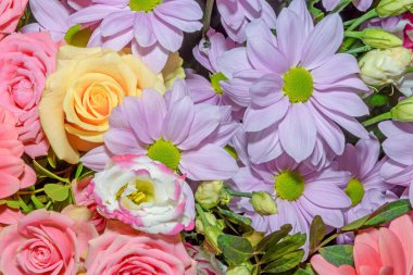 Güzel çiçeklerin arkaplanı. Kapat.. 