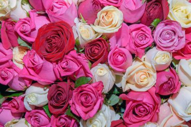 Güzel çiçeklerin arkaplanı. Kapatın. Panorama.