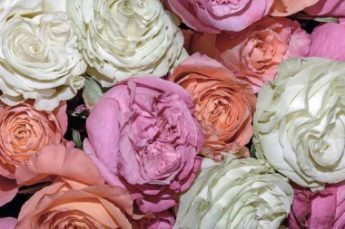 Güzel çiçeklerin arkaplanı. Kapat.. 