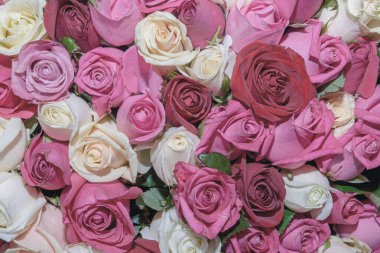 Güzel çiçeklerin arkaplanı. Kapat.. 