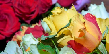 Güzel çiçeklerin arkaplanı. Kapatın. Panorama.