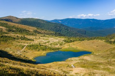 Güneşli bir günde Dağ Gölü Apshinets, Karpatlar, Ukrayna