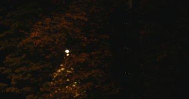 Trafik ışıkları yeşilden sarıya ve sonra kırmızıya geçer.