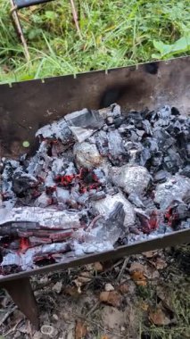 Eldivenli eldiven ve fırında pişmiş patatesi barbeküde sıcak kömürden kurtarırken çekilmiş dikey bir video.