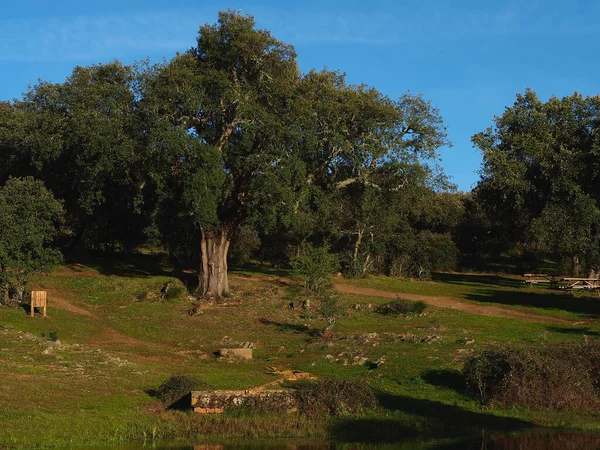 Characteristic meadow landscape with stone fountain and picnic area