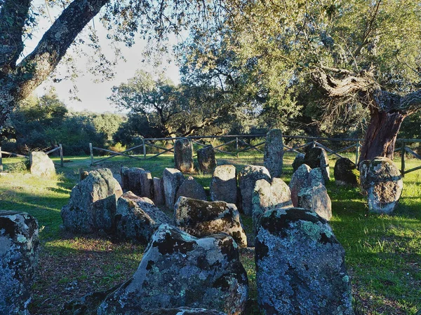 Dolmens in the pasture of Montehermoso. Celtic stone tombs