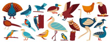 Vahşi ve evcil kuşlar, kümes hayvanları vektör çizimi, Avrupai kuş koleksiyonu, güvercin, karga, martı ve baykuş, tavuk.