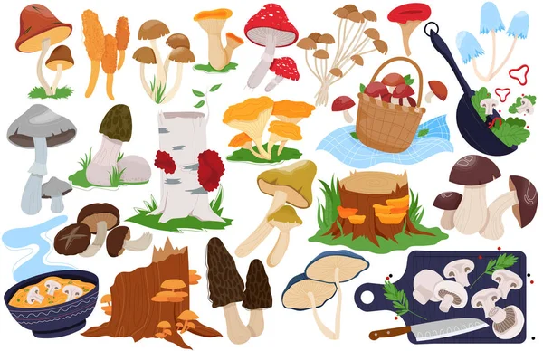 Svampvektor illustrationer, tecknad platta set med skog gård ätliga eller giftiga svampar svamp, färska boletus ostron, svamp morel — Stock vektor